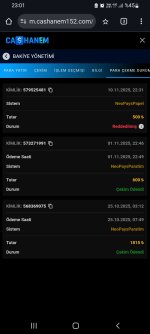 Screenshot_20251110-230146_Chrome.jpg