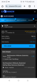 Screenshot_20251117-203421.png